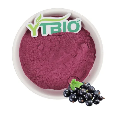 Blackcurrant Powder Natural Blackcurrant Extract Food Grade Blackcurrant Fruit Juice Powder