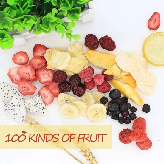 Tropical Fd Fruit Freeze Dried Food Fig/Kiwi/Dragon Fruit/Mango/Banana/Apple/Strawberry Chips Crispy Taste Bulk Wholesale Sweet Freeze Dried Fruit